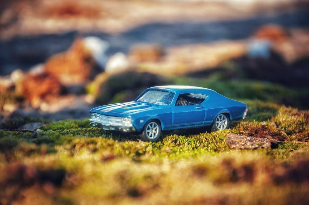 Photograph by Артём Шестаков