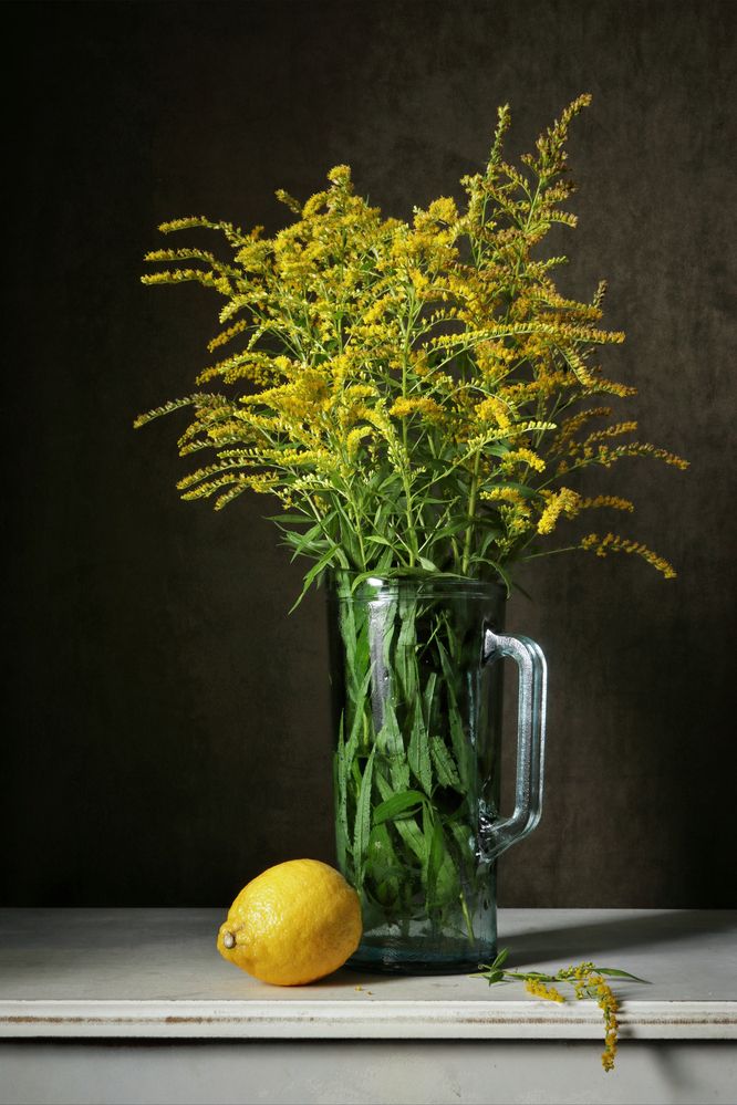 Photograph by Елена Коврижных