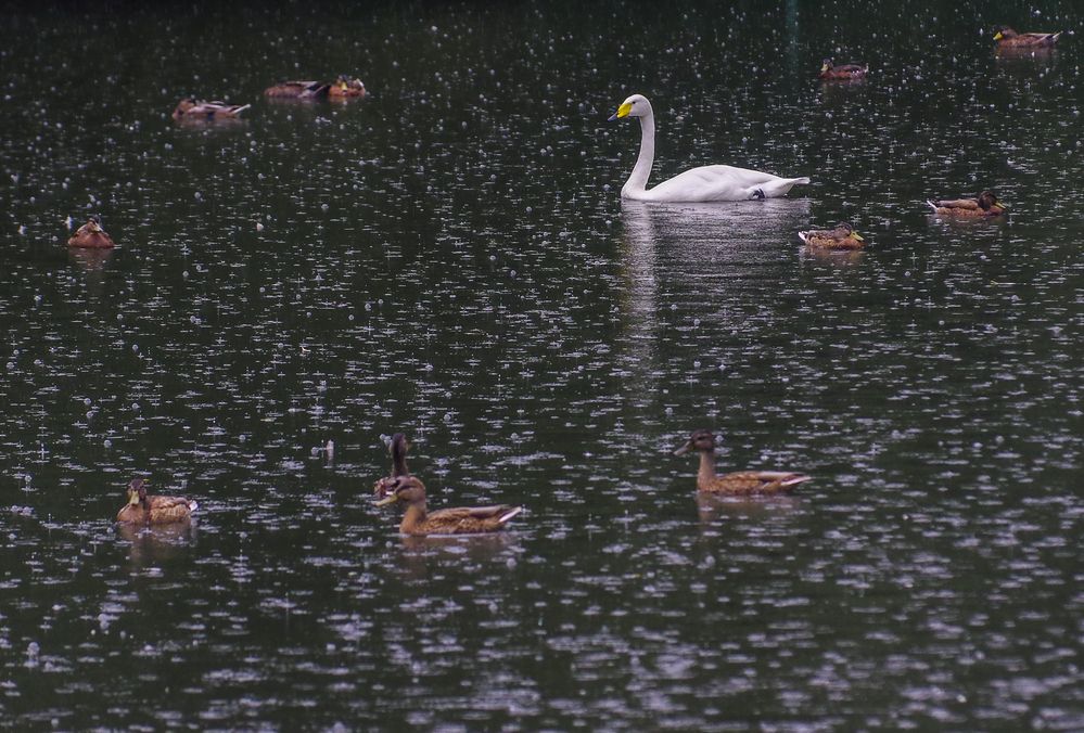 Photograph by Михаил Измайлов