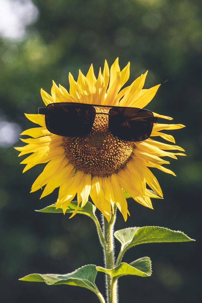 Photograph by Степан Ковыльчик