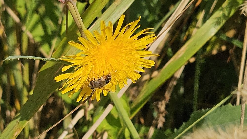 Photograph by Зина Хаимова