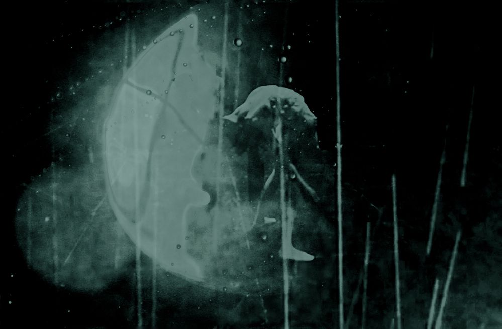 Photograph by Olga Sokolinskaya