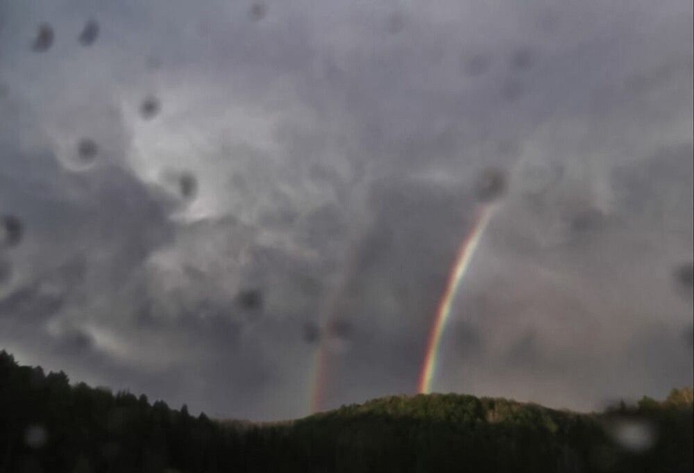 Photograph by Kim Natasha