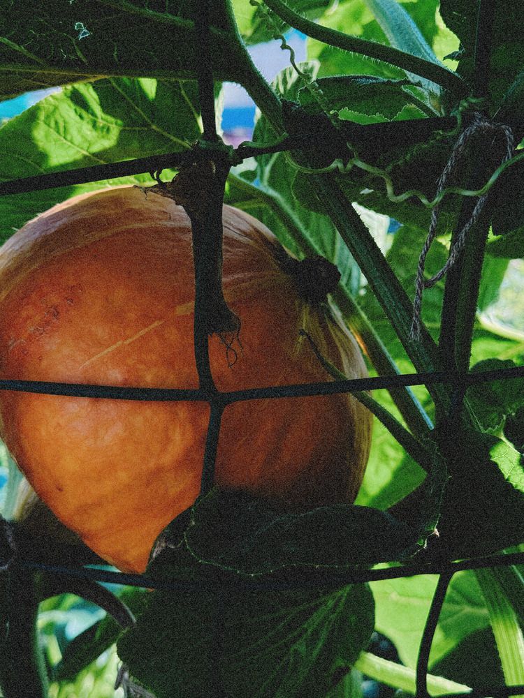 Photograph by Диана Есина