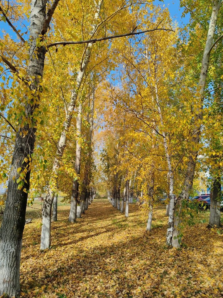 Photograph by Наталья Круглова