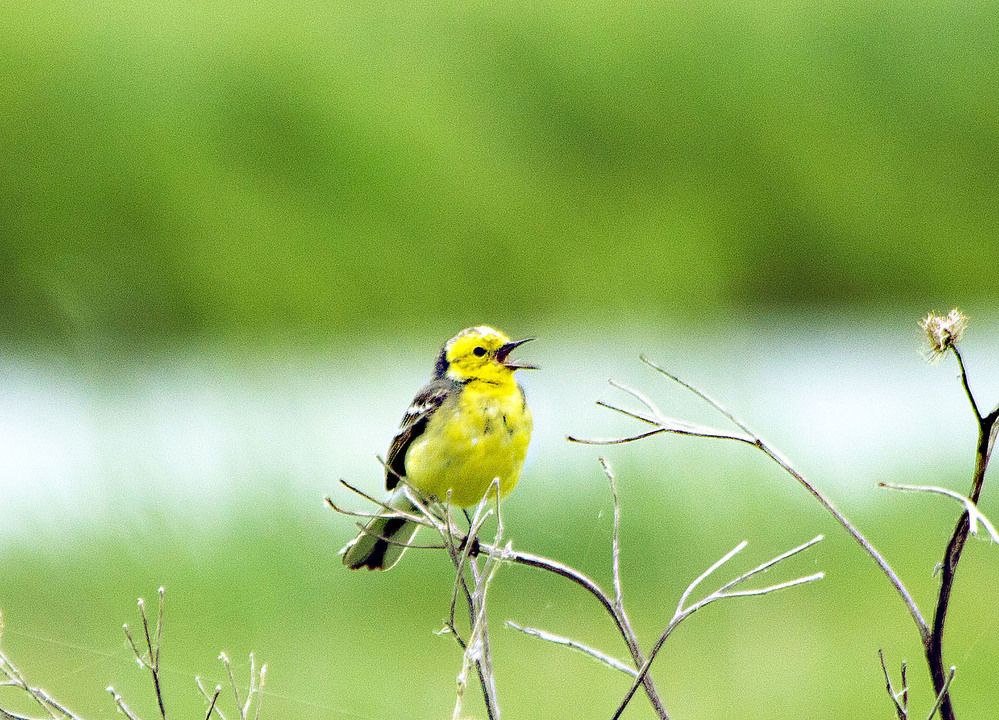 Photograph by Людмила Павловна