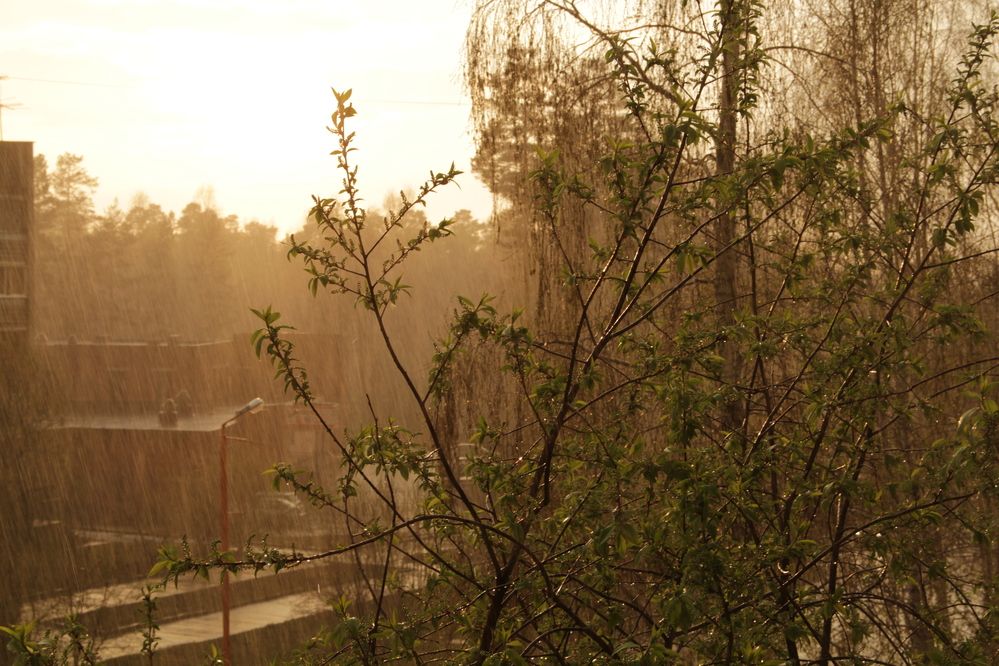 Photograph by Герасимов Игорь