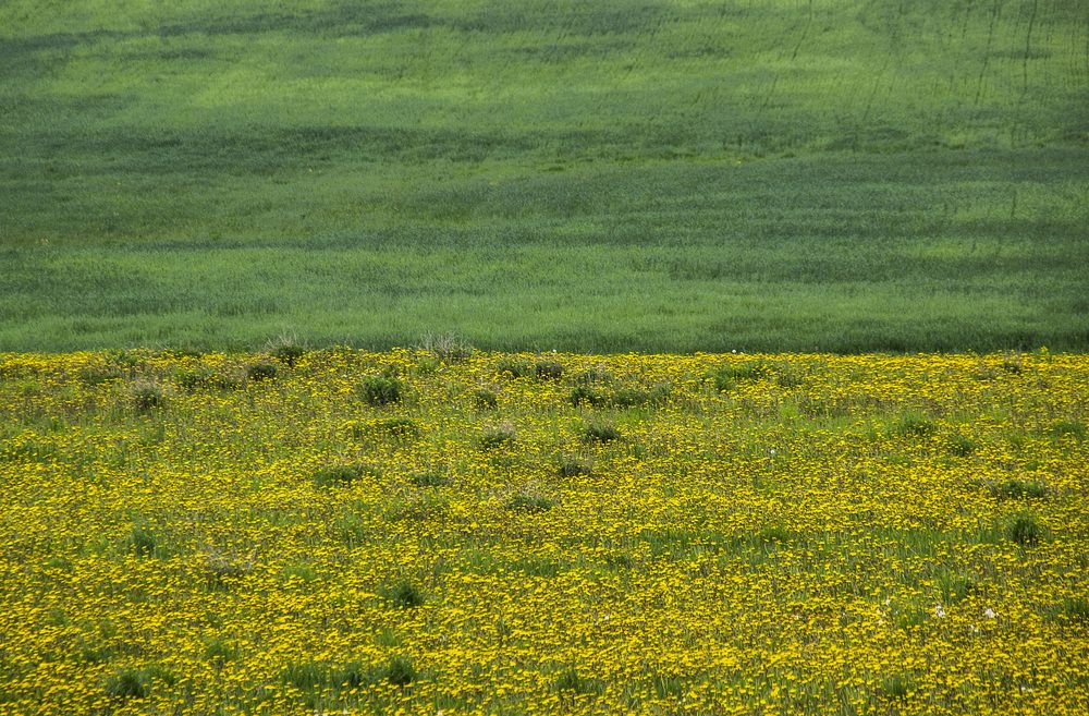 Photograph by Leanid Kulpo