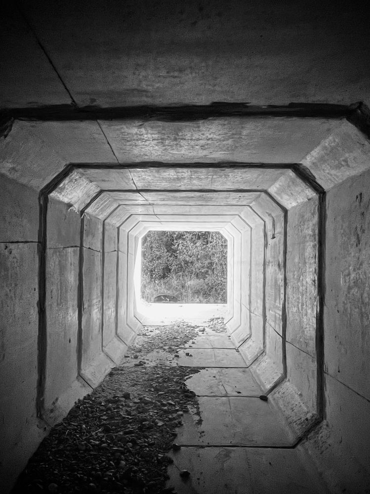 Photograph by Олеся Старицкая