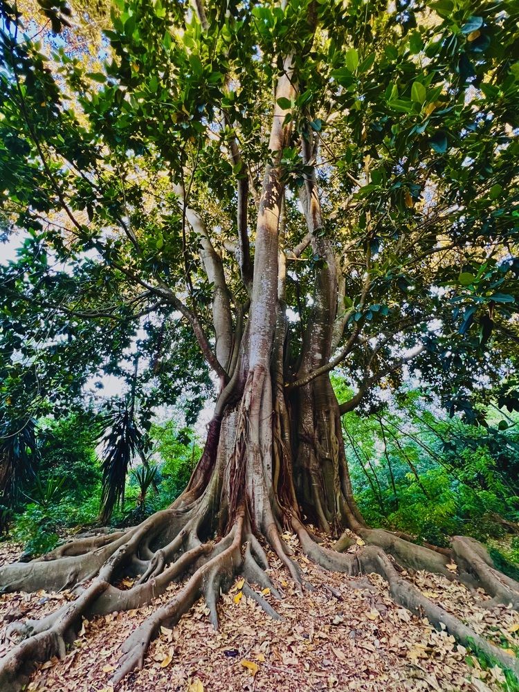 Photograph by Eleni Christogianni