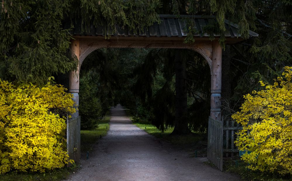 Photograph by Анна Стрелковская