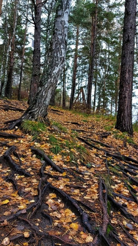 Photograph by Наталья