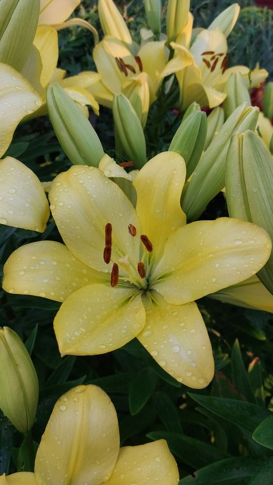 Photograph by Наталья