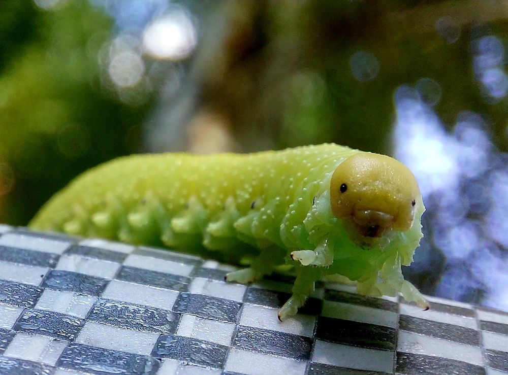 Photograph by Наталья