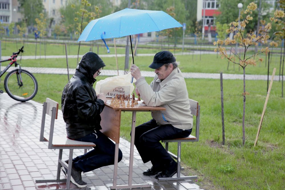 Фотография автора Николай Семенец