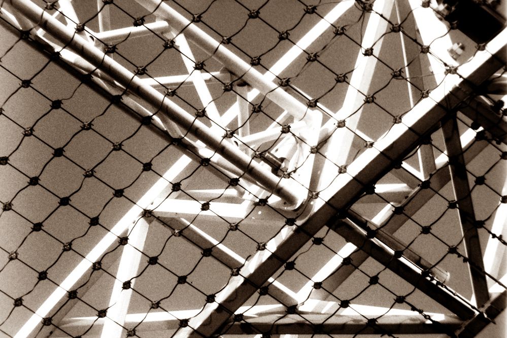 The Net