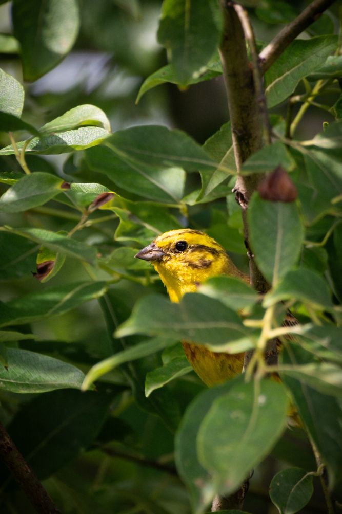 Photograph by Ольга