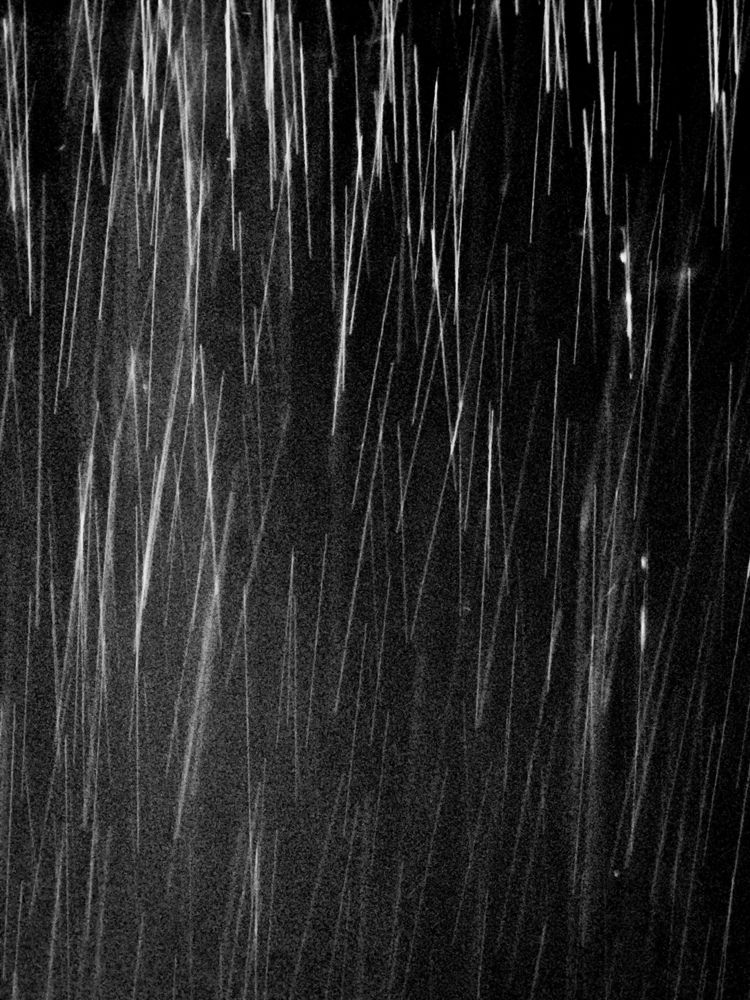 Photograph by Mostafa Mortazaviderazkola