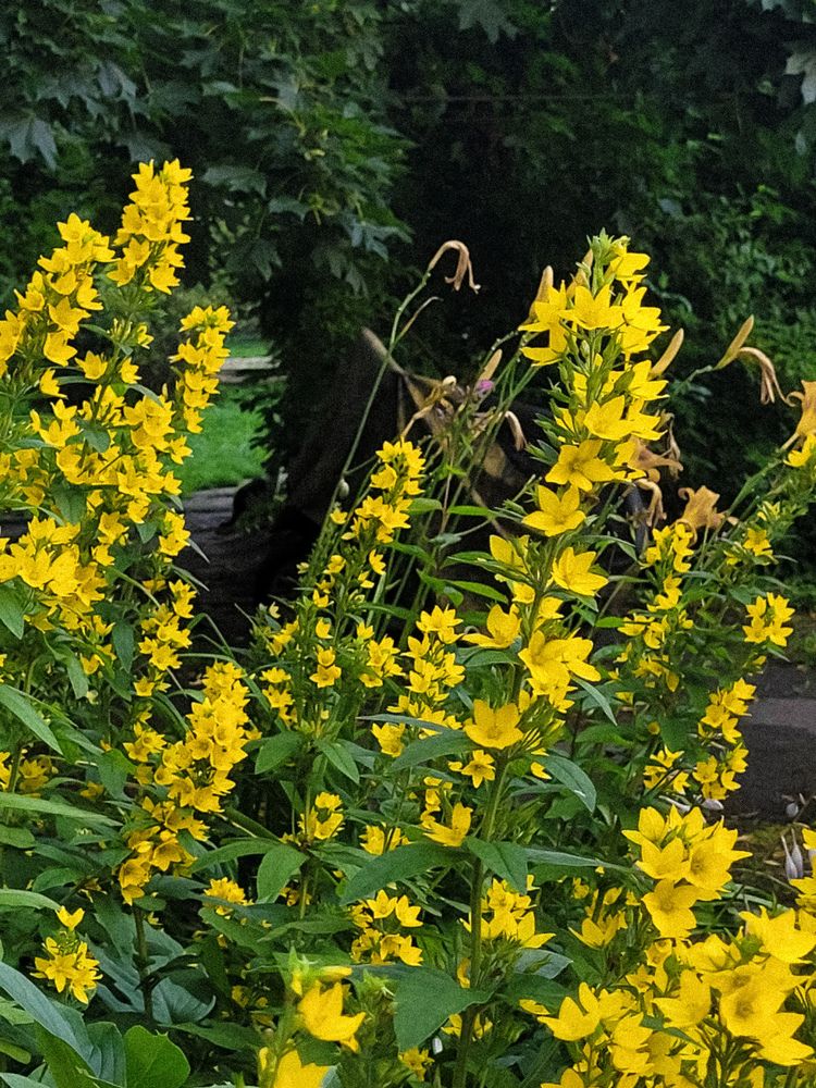 Фотография автора Казакова Людмила Ивановна