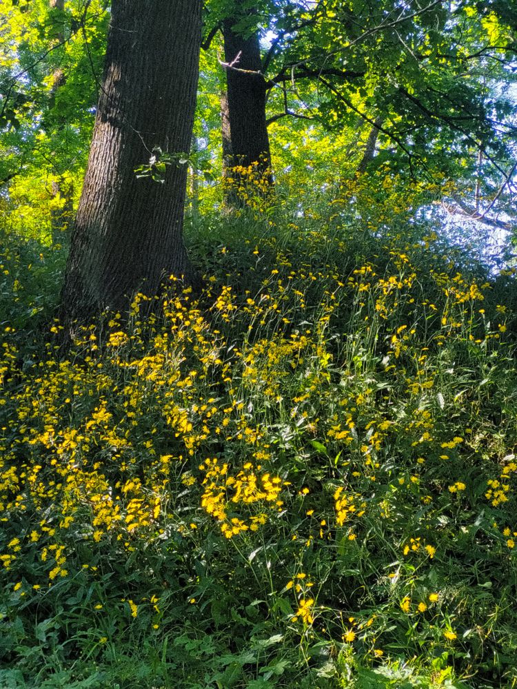 Фотография автора Казакова Людмила Ивановна