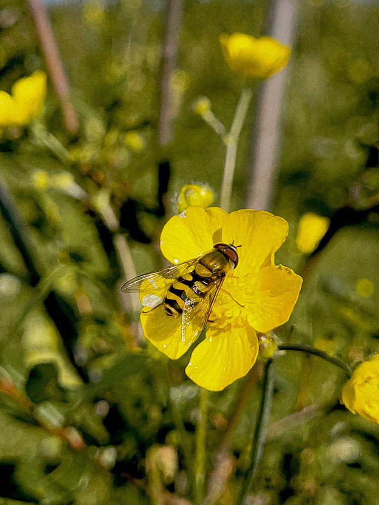 Фотография автора Казакова Людмила Ивановна