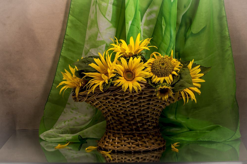 Photograph by Людмила Павловна