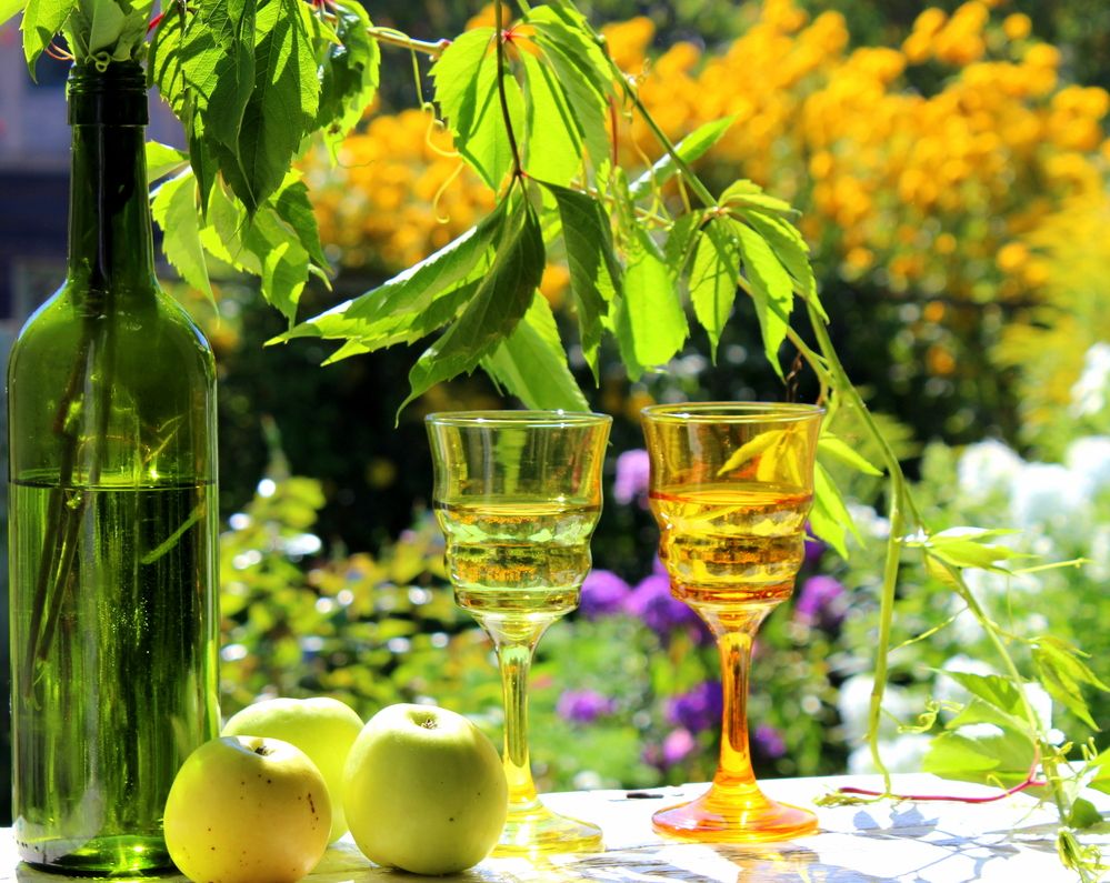 Photograph by Жанна Нечаева