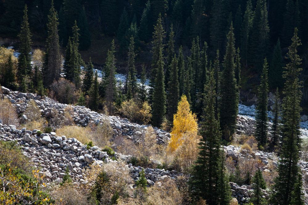 Фотография автора Александр Колдин