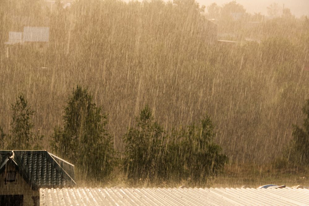 Photograph by Светлана Карнаух