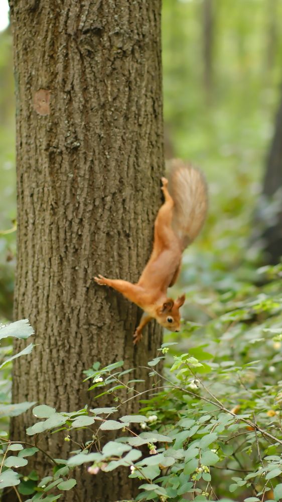 Photograph by Юлия Мельникова