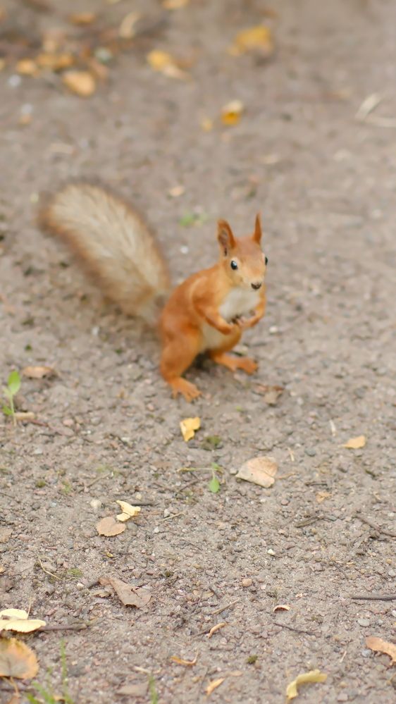 Photograph by Юлия Мельникова