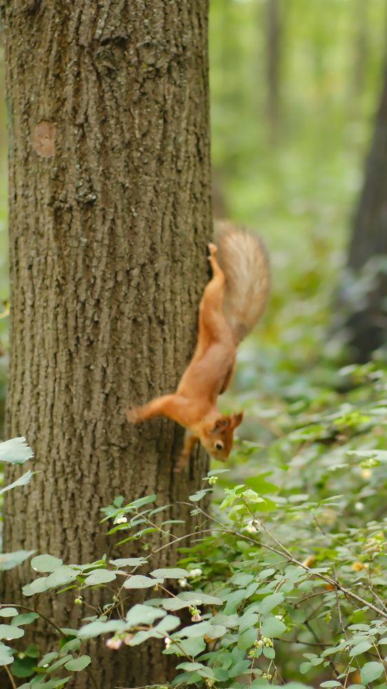 Photograph by Юлия Мельникова