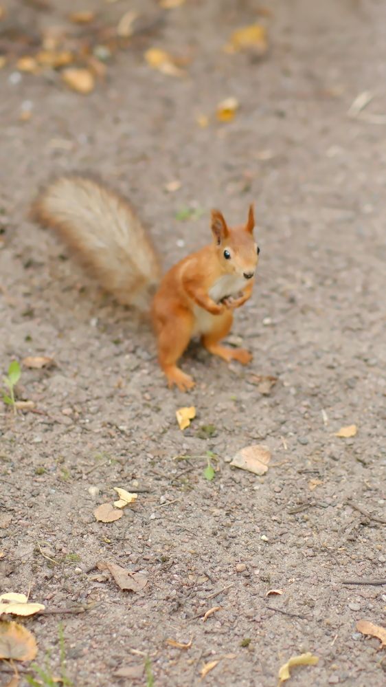 Photograph by Юлия Мельникова