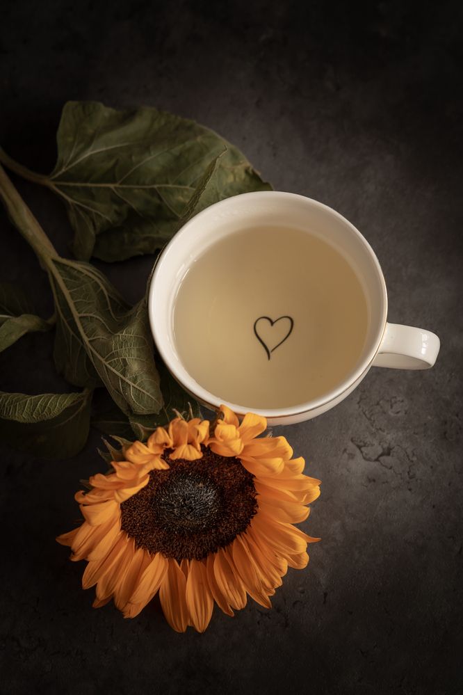 Photograph by Татьяна Гребенникова