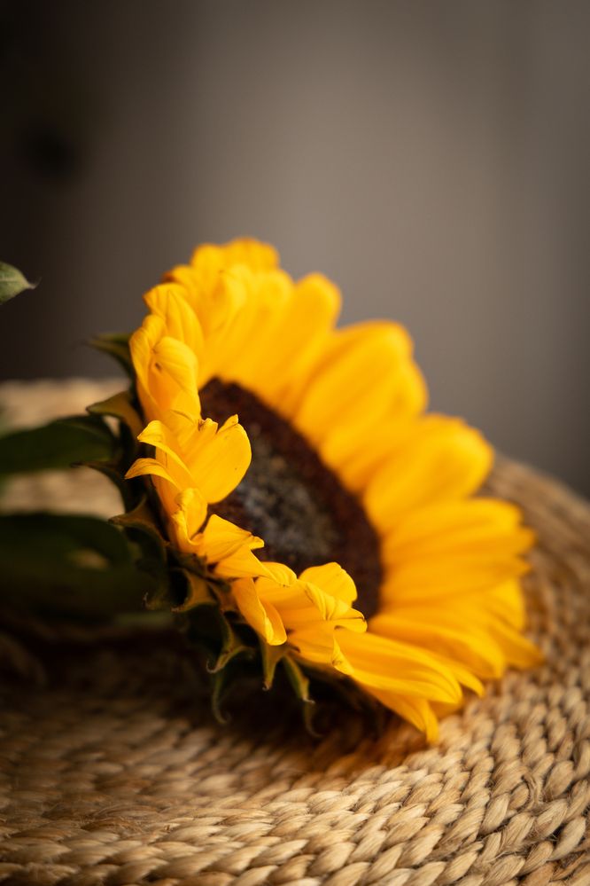 Photograph by Татьяна Гребенникова