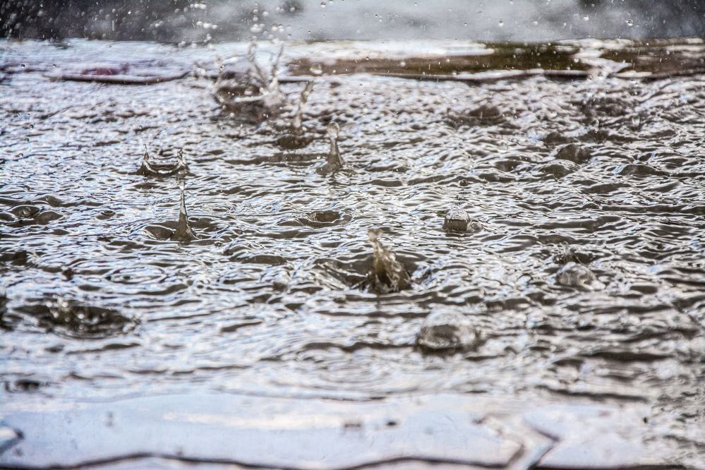 Photograph by Дмитрий Анисимов