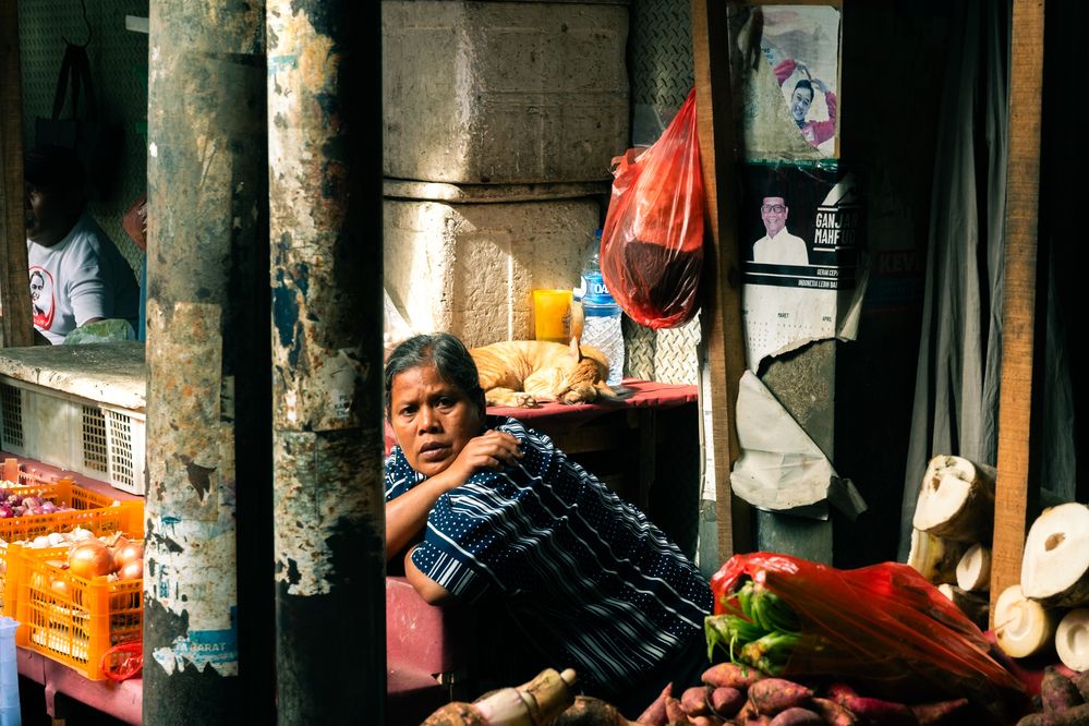 Фотография автора Kevin Christonar