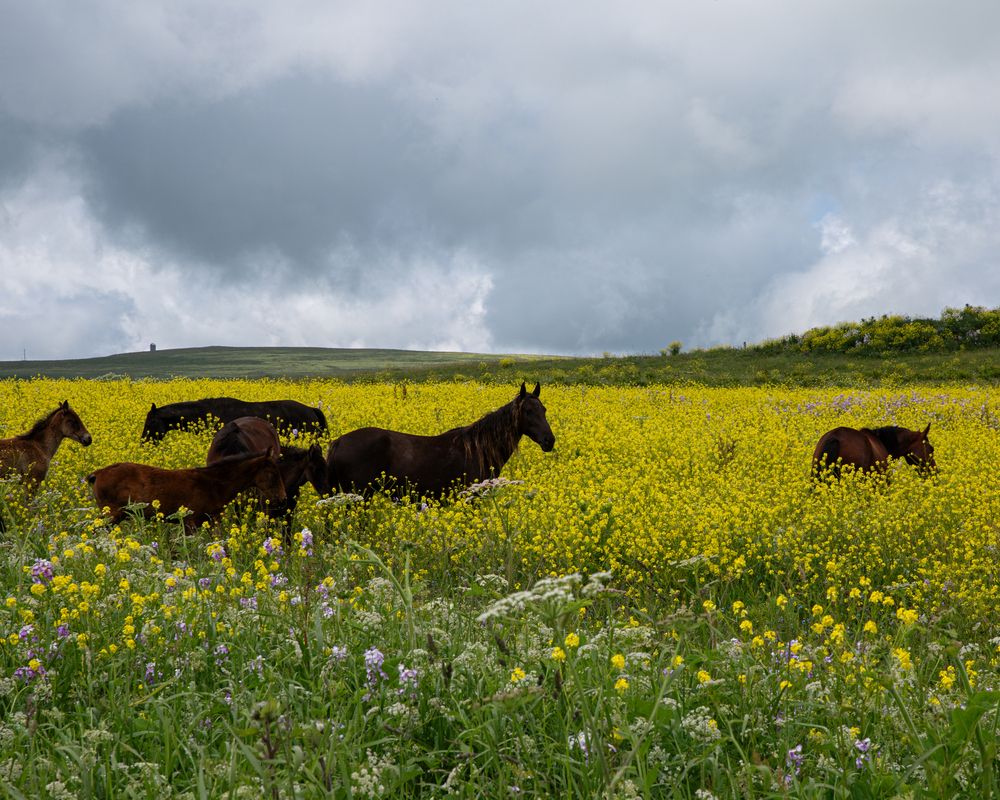 Photograph by Елена Бородина