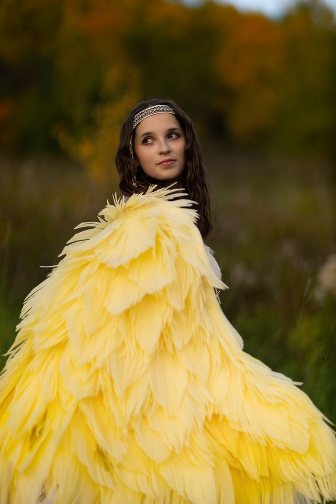 Фотография автора Александр Паничев