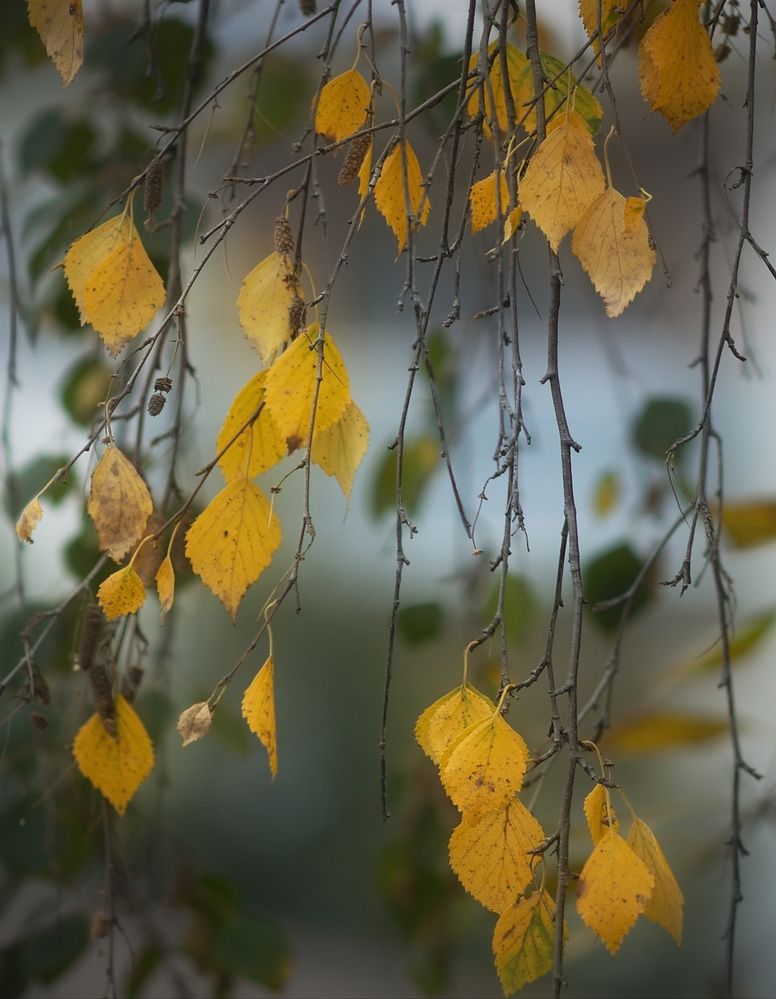 Фотография автора Панюшкин Владислав Владимирович
