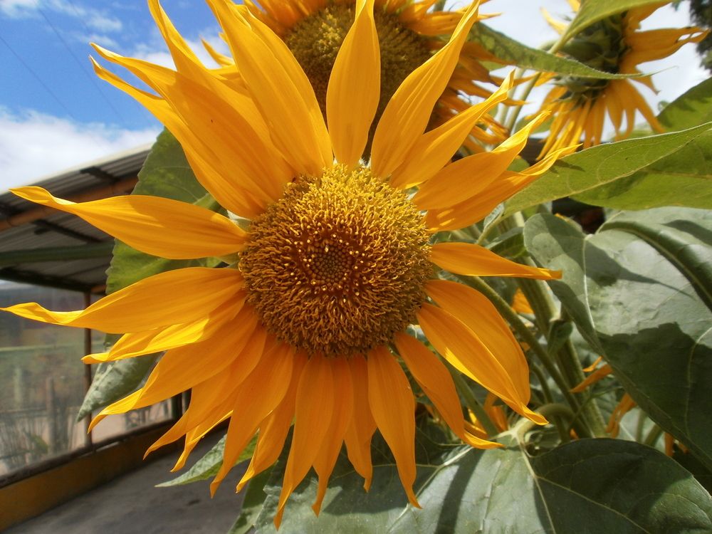 Фотография автора Camilo Martinez