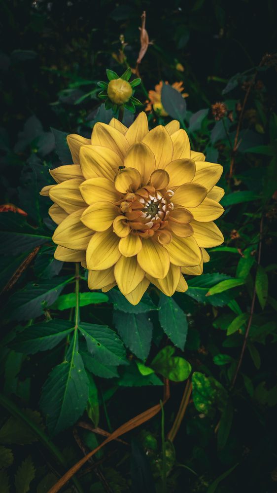 Photograph by Екатерина Никитина