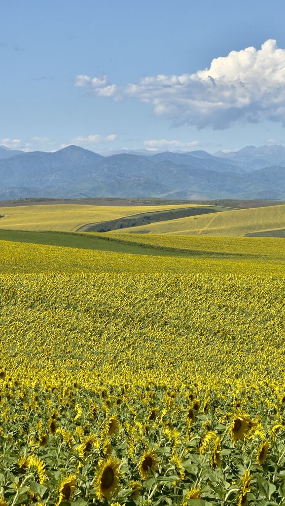 Photograph by Ольга Бибекина