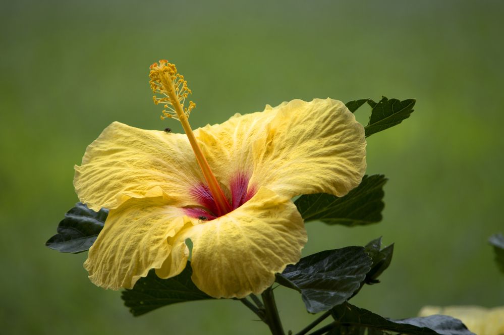 Фотография автора Camilo Martinez