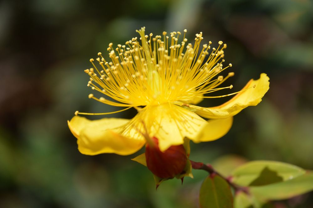 Фотография автора Camilo Martinez