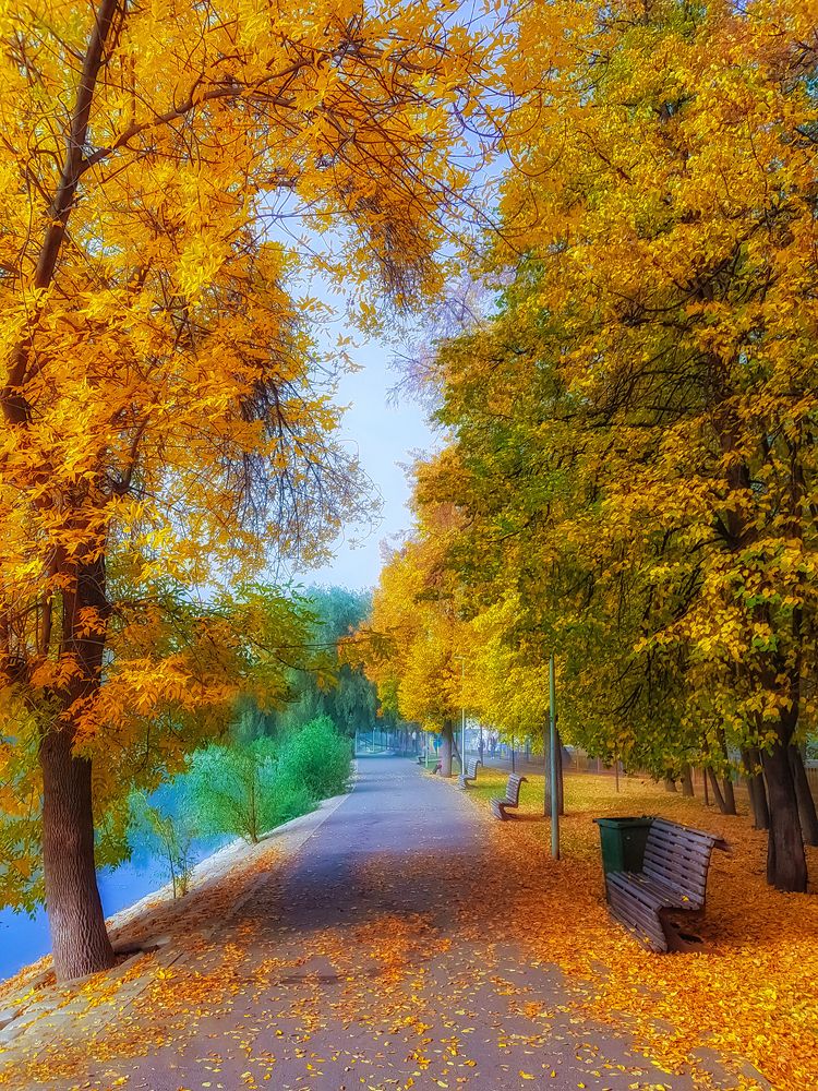 «Скоро осень, господа»