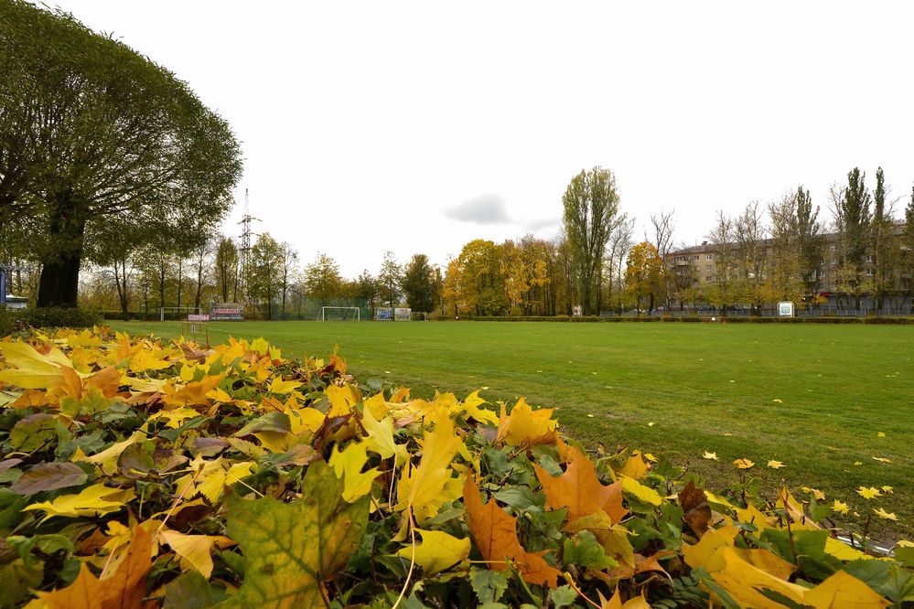 Photograph by Елена Иванова