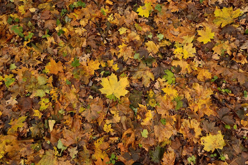 Photograph by Елена Иванова