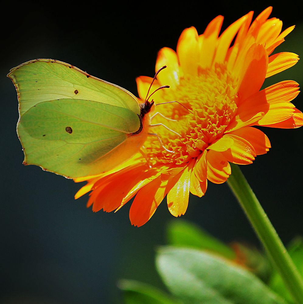 Photograph by Зоя Быкова