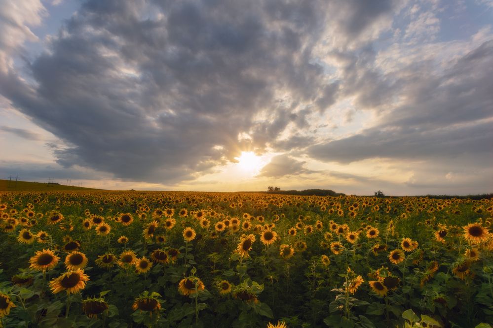 Photograph by Юлия Мальцева